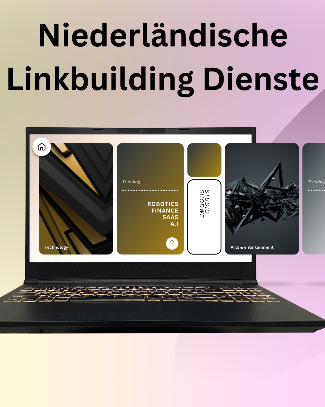 Niederländische Linkbuilding Dienste